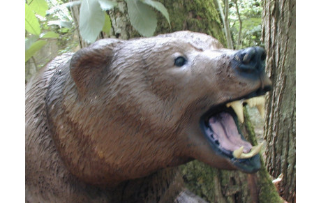 Concours 3D à Langlade